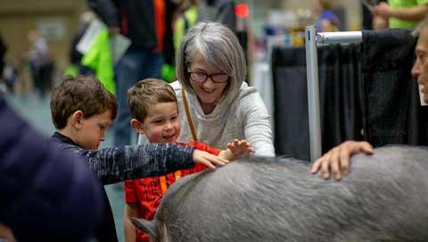 Parent with children petting an animal